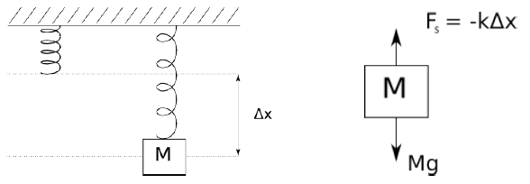 Vertical Springs - Wize University Physics Textbook (Master) | Wizeprep