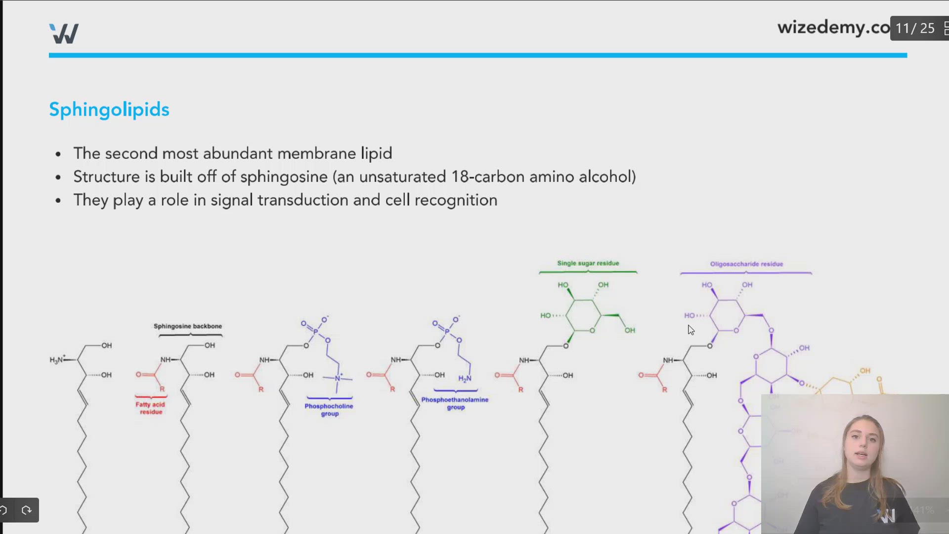 Sphingolipids and Redox Signaling in Renal Regulation and Chronic Kidney  Diseases | Antioxidants \u0026 Redox Signaling, image size:1920x1080
