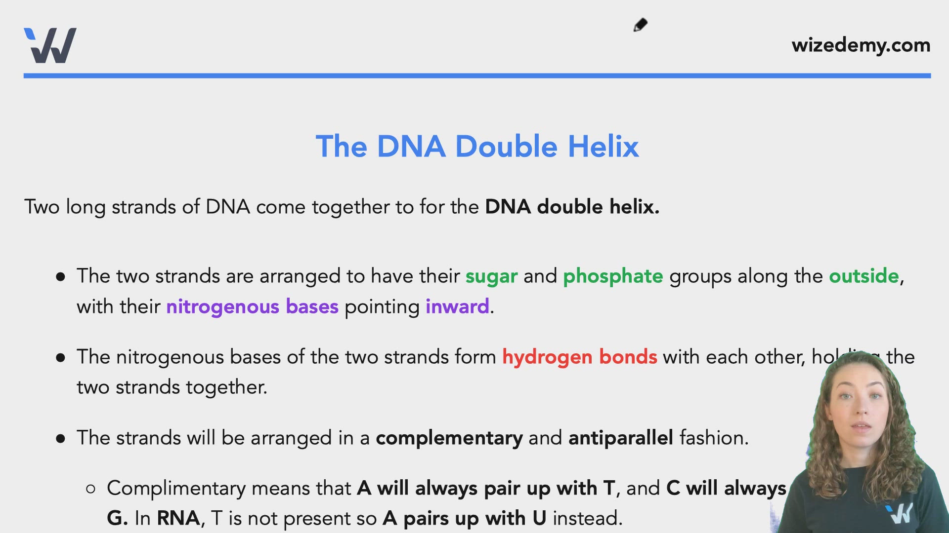 Nucleic Acids - Wize University Biology Textbook | Wizeprep