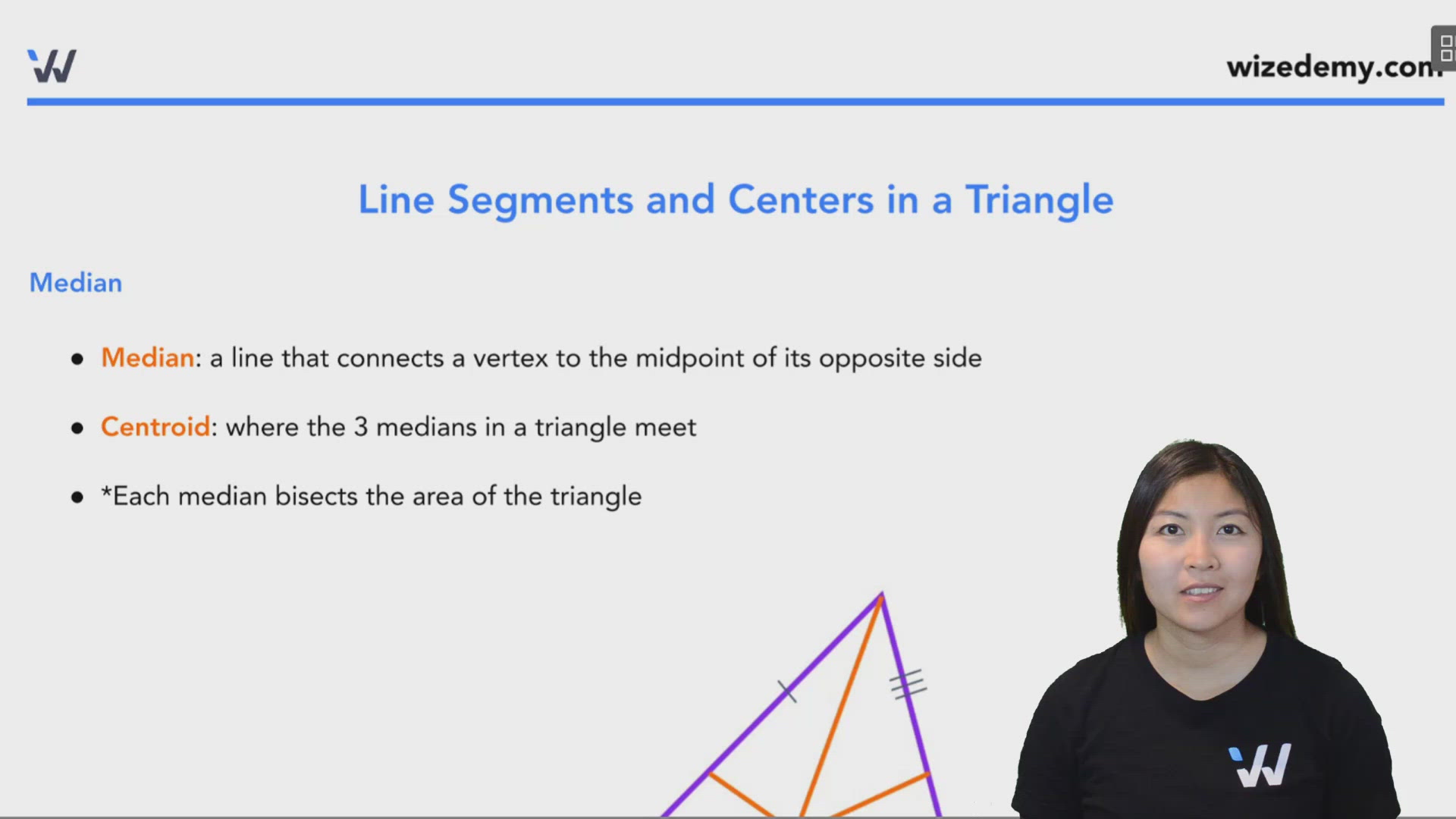 Properties of Triangles Wize High School Grade 10 Math Textbook