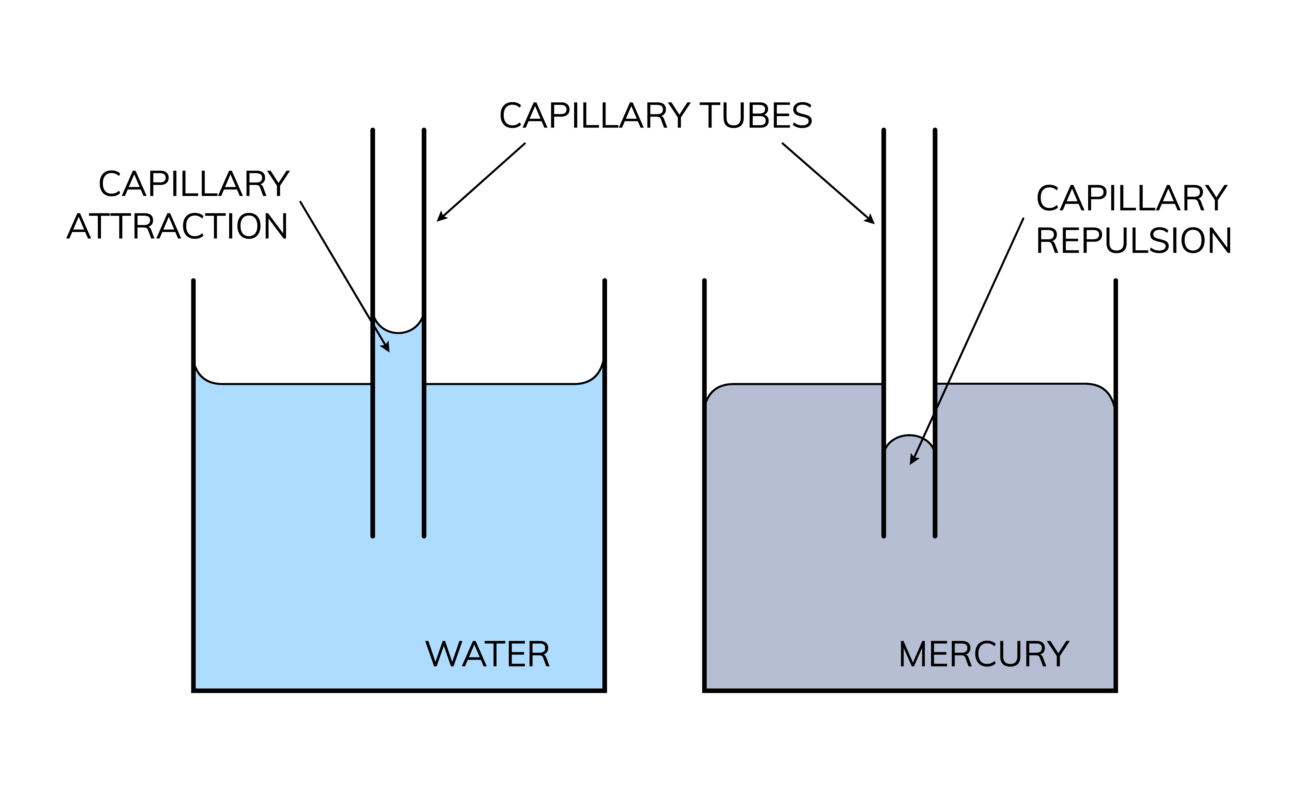 Surface Tension And Capillarity Wize University Physics Textbook Surface Tension And Capillarity Wize University Physics Textbook