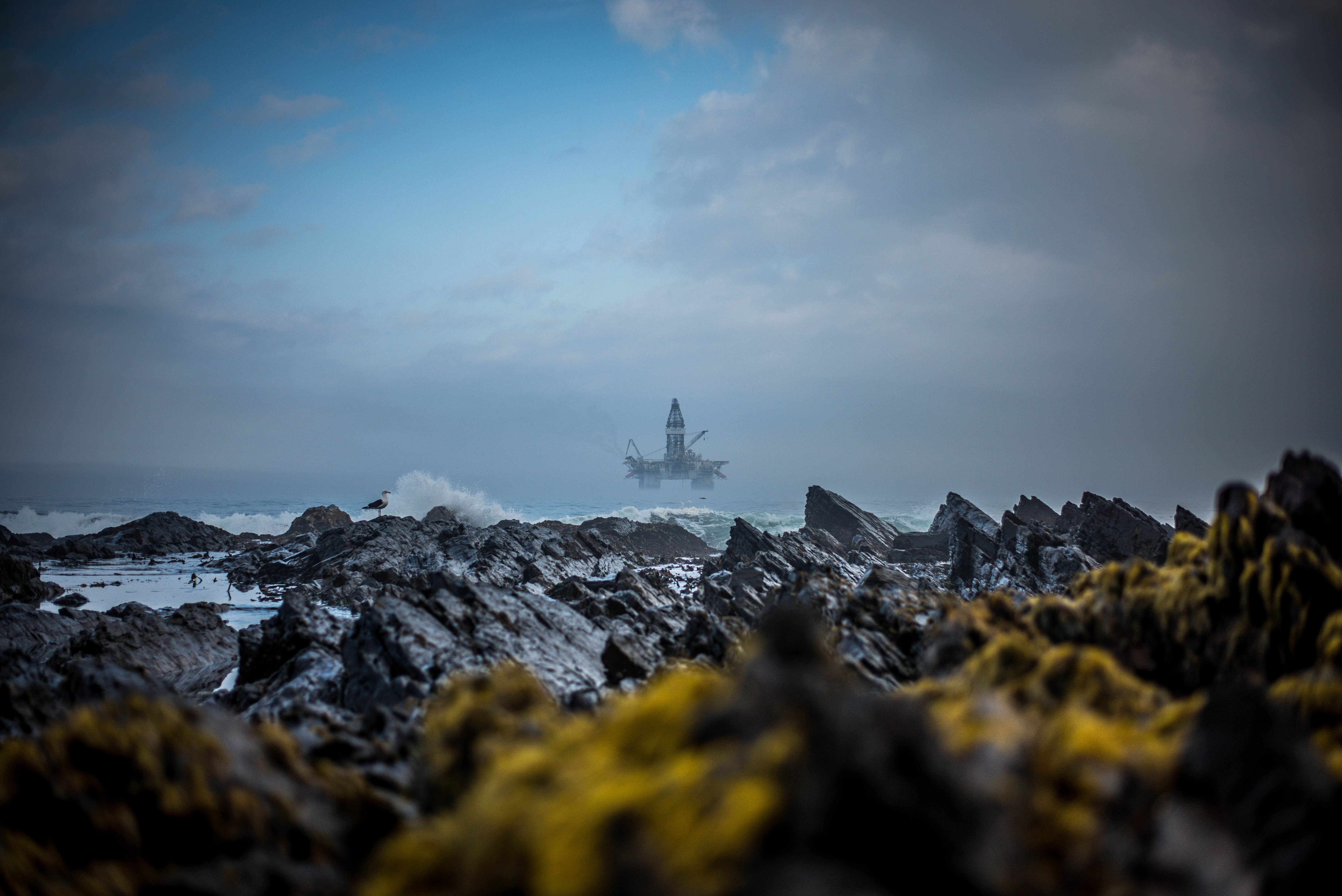 clyde-thomas-695470-unsplash
